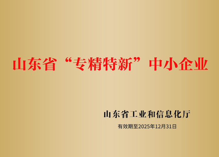 Shandong Province's 